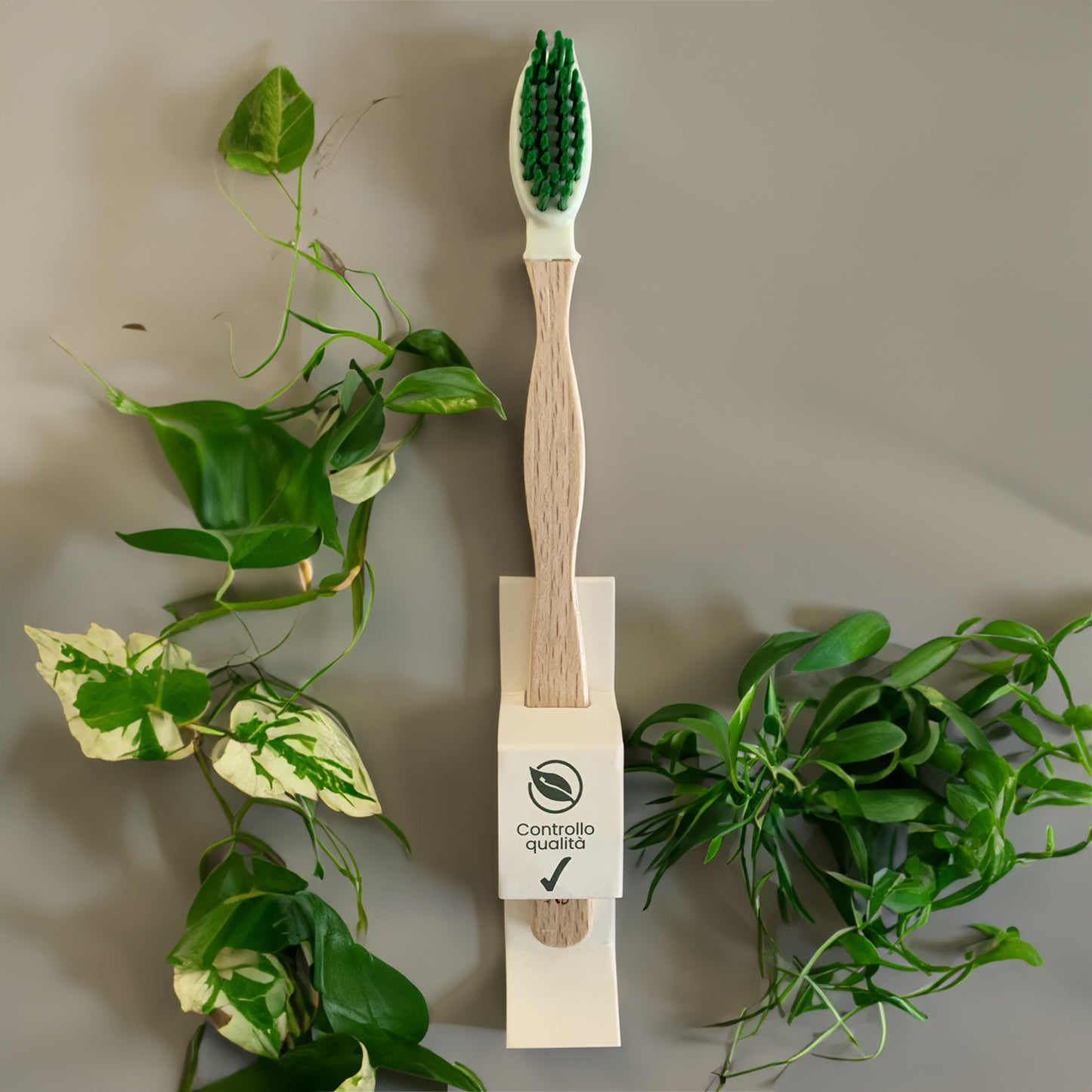 Biospazzolino